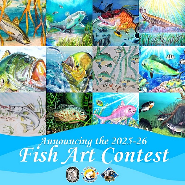FWC Opens 2025-26 Florida Fish Art Contest for Students
