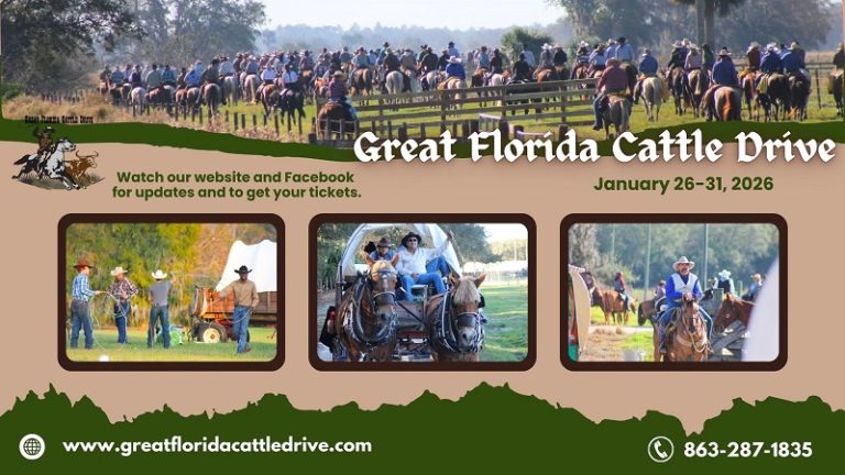 Living History in Motion: The Great Florida Cattle Drive Kicks Off ...