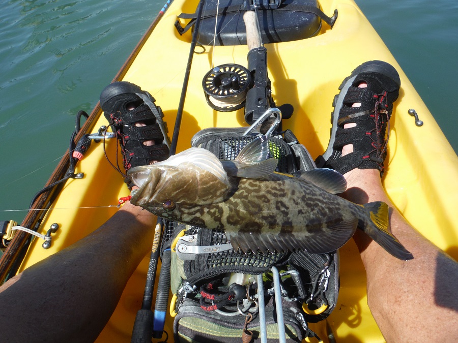 Kayak Launches in Southwest Florida